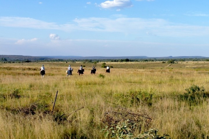 Durch den Busch reiten in Südafrika