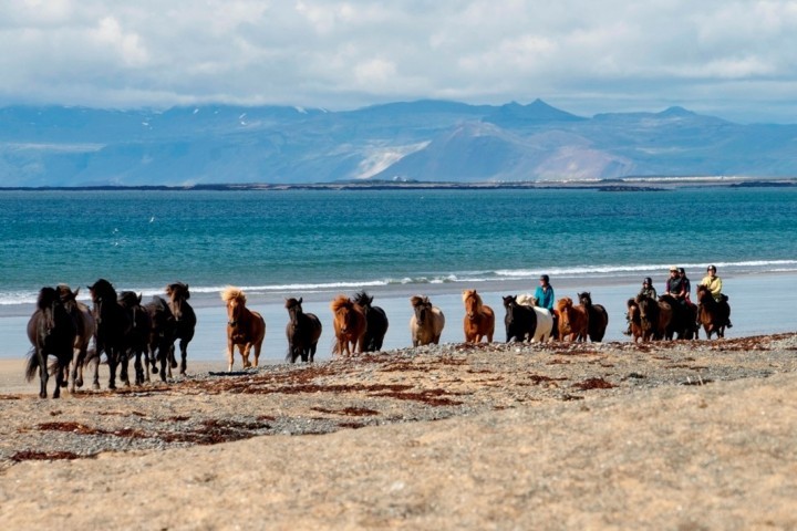 Reiten am Strand vonSnæfellsnes