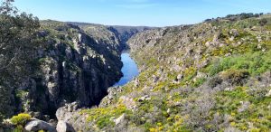 Tiefer Canyon des Douro Flusses