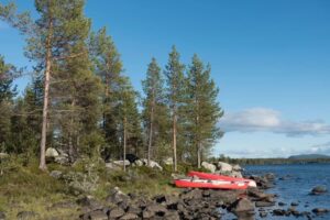 Kanus am Ufer im Wald